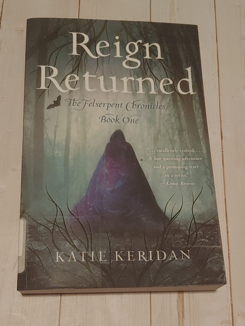 Reign Returned Young Adult Teen Book By Katie Keridan